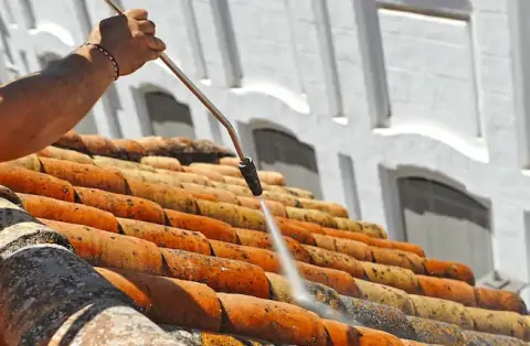 Nettoyage de toitures - Lagny